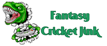 Fantasy Cricket Jink